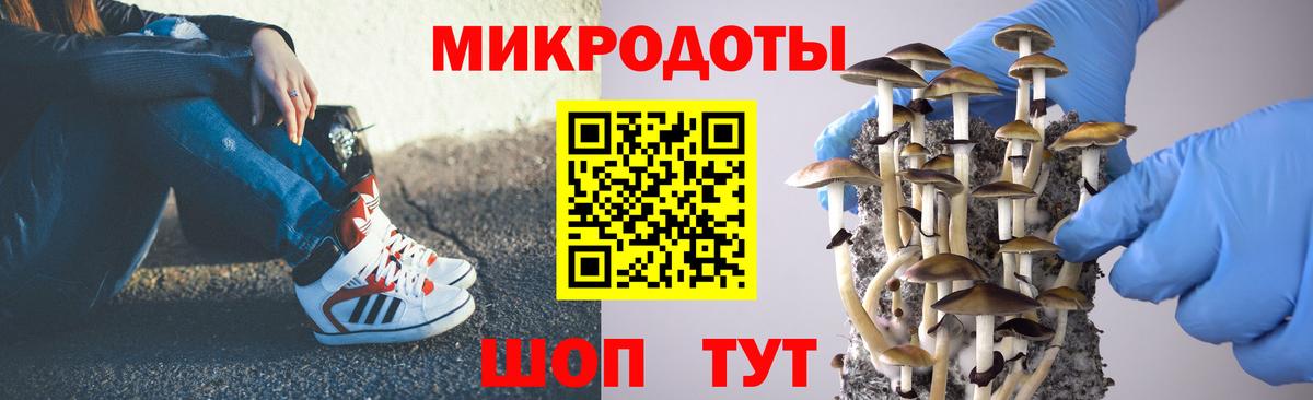 Псилоцибиновые грибы прущие грибы  Вход с VPN  Осинники 